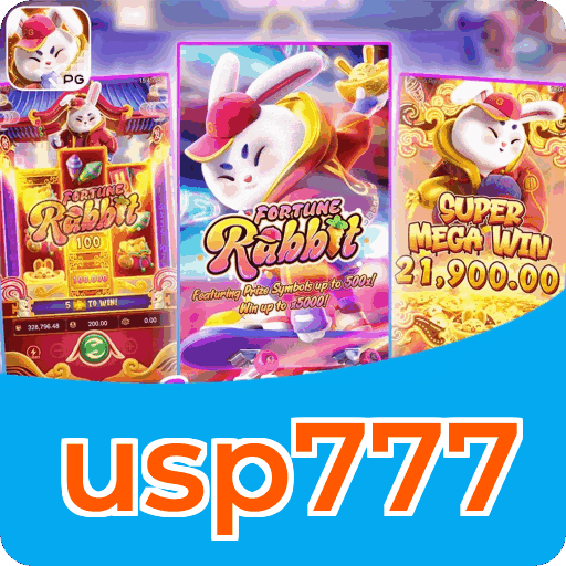 Interface usp777